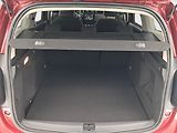 Dacia Duster (2022) Prestige 1.5 Blue dCi, ČR - náhled 14