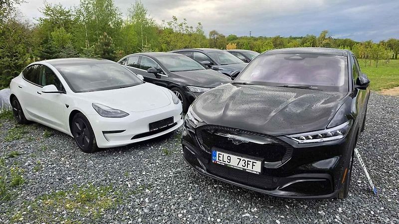 Dovoz elektromobilů se zvýšil.