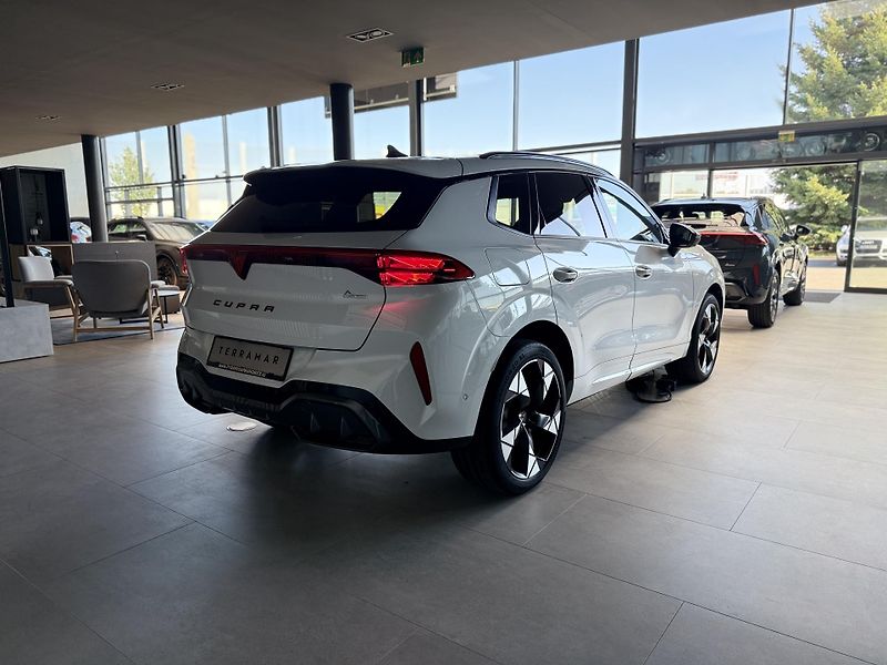 Cupra Terramar (2026) VZ 2.0 TSi 265k DSG 4WD - fotka 6 z 16
