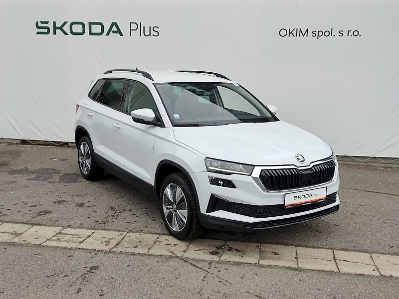Škoda Karoq (2023) Ambition - Business 2,0 Tdi 85 - fotka 33 z 38