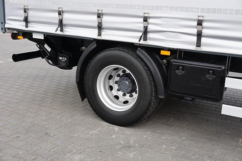 DAF LF (2019) 290 / E 6 / FIRANKA + WINDA /  - fotka 19 z 44