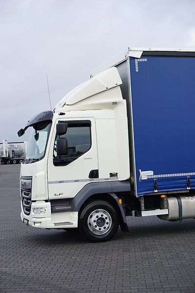 DAF LF (2021) / 260 / ACC / E 6 / FIRANKA /  - fotka 25 z 44