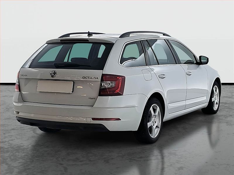 Škoda Octavia (2018) 2.0 TDI 4x4, 4X4, Automat - fotka 5 z 17