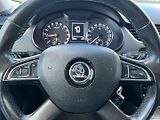 Škoda Octavia (2014) 1.6TDi 77kW 4x4! 2xkola! tažné - náhled 22