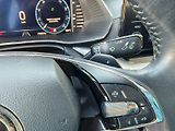 Škoda Octavia (2023) AMB TD 85/2.0 A7F - náhled 19