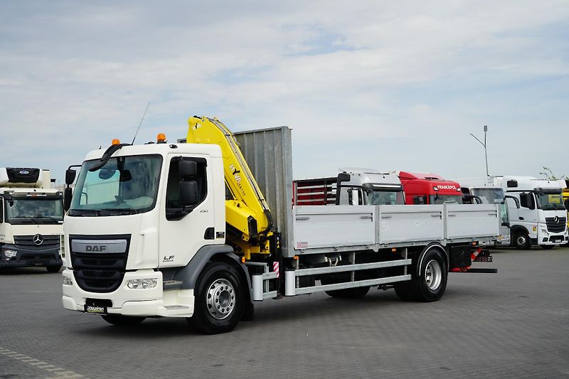 DAF LF (2015) / 250 / SKRZYNIOWY + HDS / HYV - fotka 31 z 52