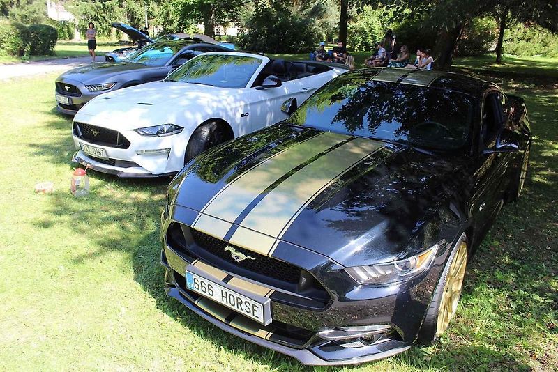 Festival MotorSvět se do areálu Psychiatrické nemocnice v Havlíčkově Brodě vrátil.po dvou letech. Jednou z ozdob bylo Lamborghini Gallardo.
