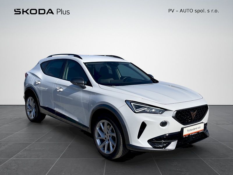 Cupra Formentor (2023) 1.5 TSI 110 kW Basis - fotka 29 z 35