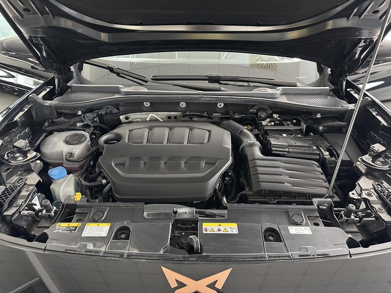 Cupra Formentor 2,0TSI VZ 333*4x4*KeyLess*Tažn - fotka 41 z 41