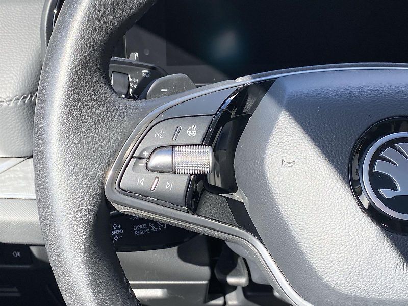 Škoda Kodiaq (2024) 2.0 TDI 4x4 DSG Excl. Selectio - fotka 15 z 40