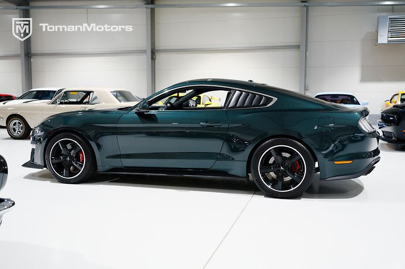 Ford Mustang (2019) Bullitt, Man, RECARO, DPH odpo - fotka 8 z 23