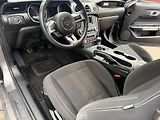 Ford Mustang (2021) 2.3 EcoBoost Manuál MBRP 2021  - náhled 13
