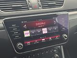 Škoda Superb (2020) 2.0TDi DSG Sportline, RZV - náhled 36