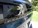 Peugeot 3008 1,2 CZ, 1.Majitel, serv. kn - náhled 13
