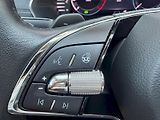 Škoda Octavia (2023) 2.0 TDI 110kW DSG Style Plus P - náhled 12