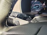 Hyundai Santa Fe 1.6 T-GDI/169kW Luxury 4x4 HEV - náhled 32