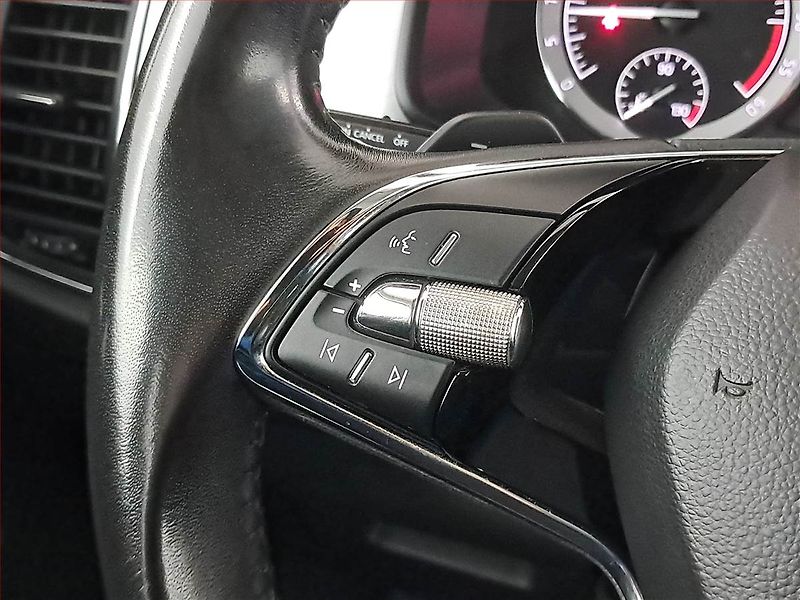 Škoda Kodiaq (2021) 2.0 TDI 4x4 - fotka 19 z 21