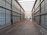 Schmitz Cargobull S04 Standart - náhled 23