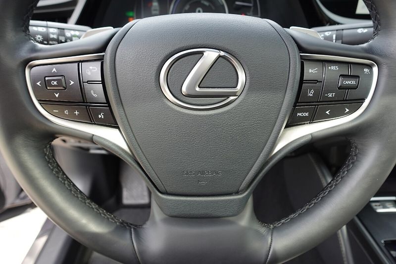 Lexus ES 300h ES300h LIMITED EDITION - fotka 32 z 41