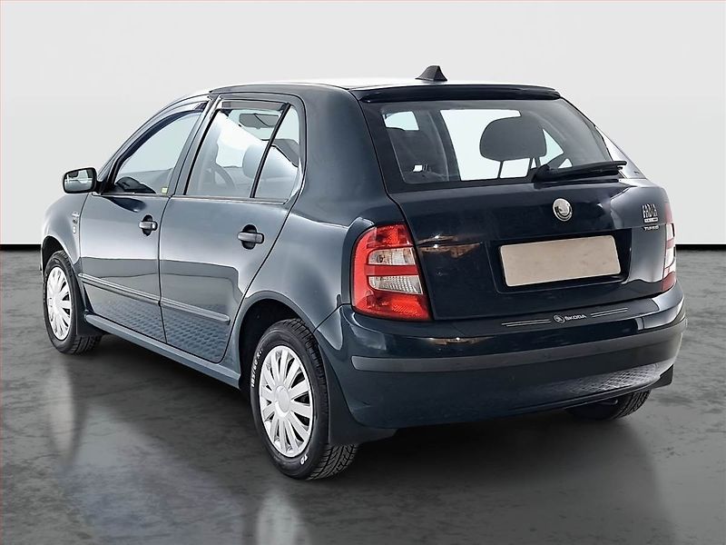 Škoda Fabia (2001) 1.4, nová STK, v provozu - fotka 4 z 13