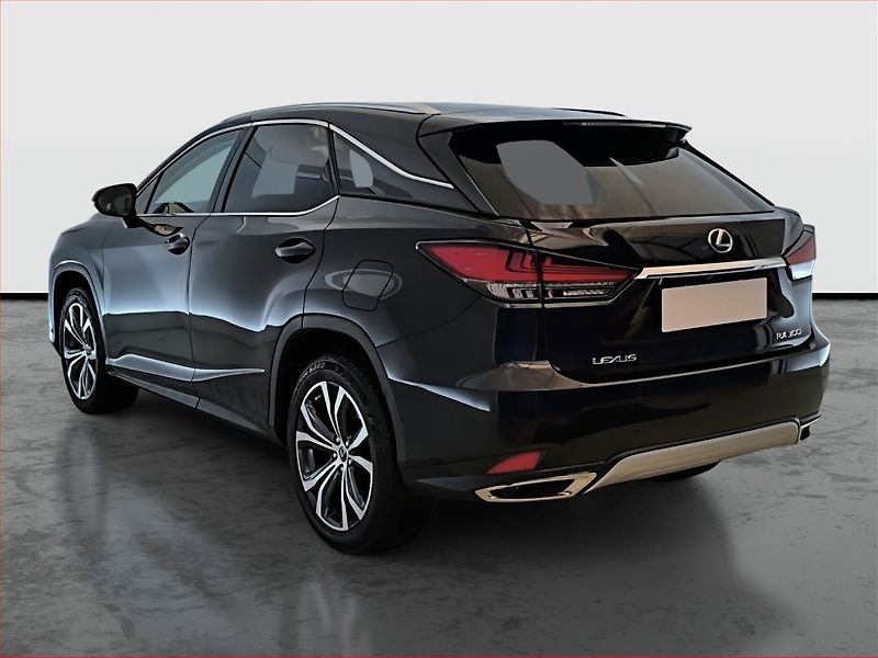 Lexus RX 400h (2022) 300 AWD - fotka 4 z 23