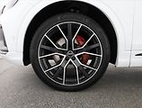 Audi Q8 (2021) 50 TDI - náhled 19