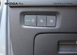 Škoda Octavia (2024) Top Selection 1.5TSI / 110kW 7 - náhled 12