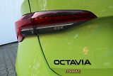 Škoda Octavia (2024) Sportline 1.5 TSI 110 kW  DSG - náhled 14