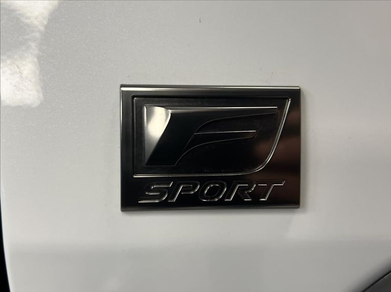 Lexus UX 300h 300H 2,0 HEV F SPORT DESIGN - fotka 16 z 19