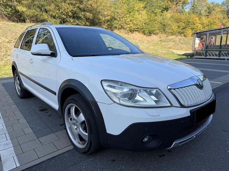 Škoda Octavia (2011) 2.0TDi Scout 103kW 4x4  - fotka 6 z 10