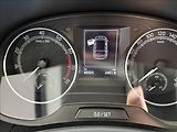 Škoda Fabia 1,0   TSI 70kW,ČR,SERVISKA - náhled 10