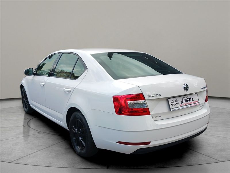 Škoda Octavia 1,6 TDI 85Kw plný servis - fotka 5 z 19