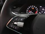 Škoda Octavia (2023) Combi 2.0 TDI (110kW/150k) DSG - náhled 21