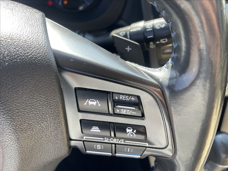 Subaru Levorg 1,6 GT-S 125kw 4x4 Aut. Kůže G - fotka 21 z 41