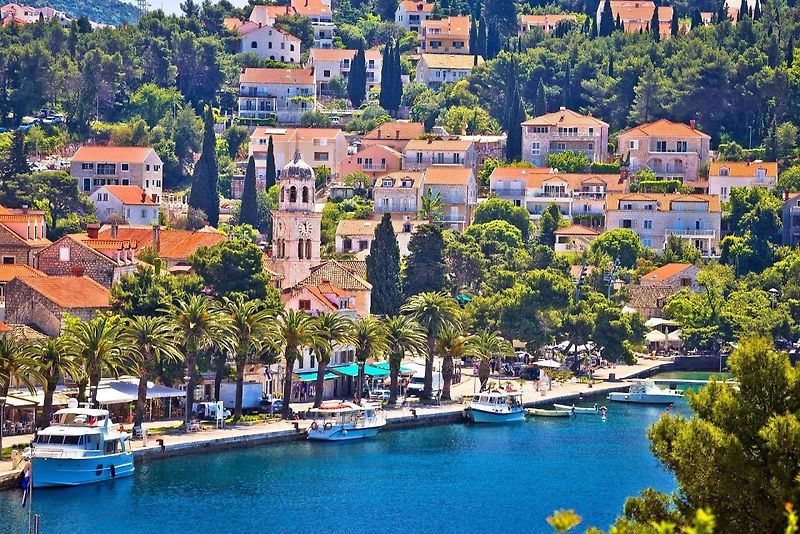 Cavtat má nádherné nábřeží lemované palmami. Říká se, že to tu vypadá jako v Saint Tropez.