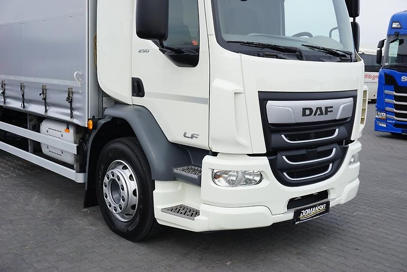 DAF LF (2019) 290 / E 6 / FIRANKA + WINDA /  - fotka 20 z 44