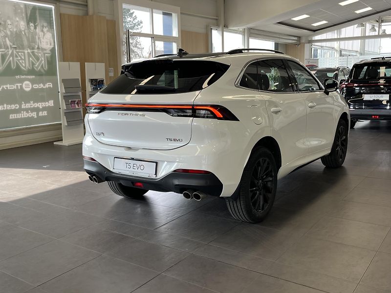 Dongfeng T5 EVO Luxury, Prověřený vůz, Záruka - fotka 3 z 14