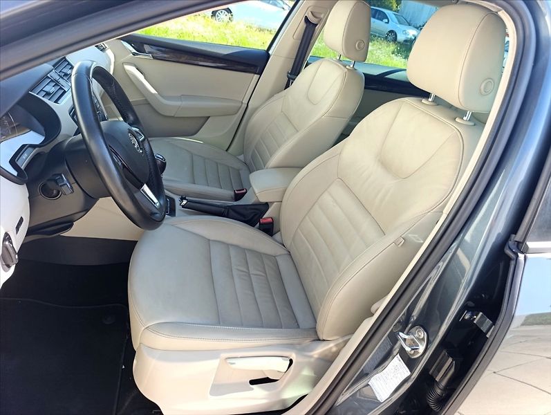 Škoda Octavia 1,6 TDi 4x4 Navi,Kůže,Aut.klim - fotka 14 z 36