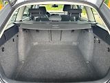 Škoda Octavia (2012) 2.0TDi 4x4 PO VELKÉM SERVISU - náhled 15