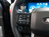Ford F-150 (2025) 3.5 Raptor V6, FOX Racing 4x4 - náhled 18