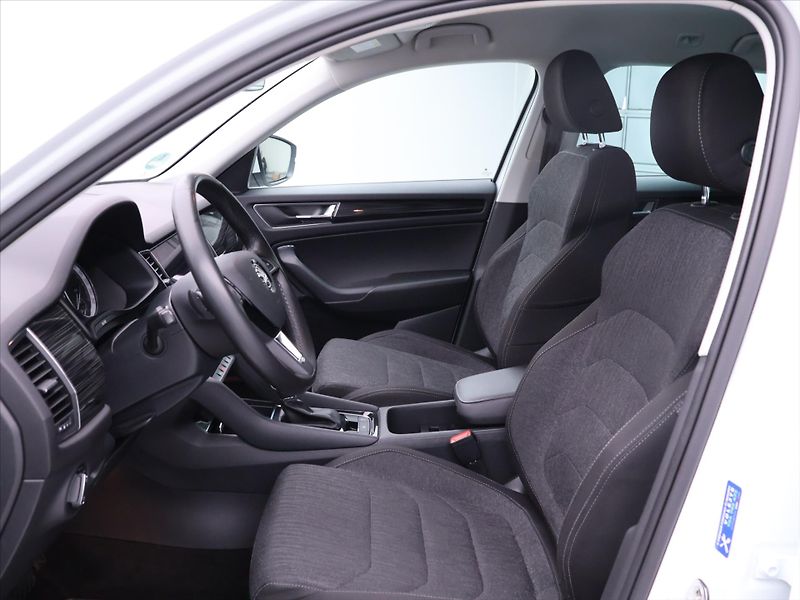 Škoda Kodiaq 2.0 TDI 140kW DSG 4x4 Style - fotka 11 z 38