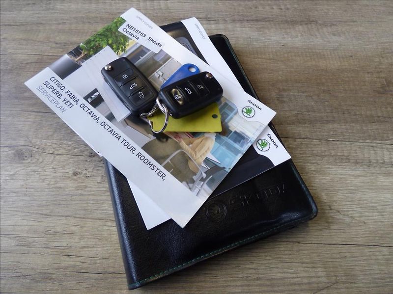 Škoda Octavia 2,0 TDI,4x4,Xenon,Elegance Edi - fotka 52 z 53