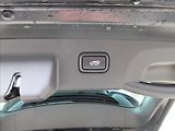 Kia Sportage (2025) 4x4 7DCT TOP EVO