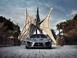 Felino CB7.