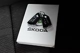 Škoda Octavia 2.0 TDI DSG*MASÁŽE*ACC*DPH* - náhled 30