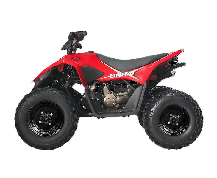 Linhai (2026) ATV 110 - fotka 5 z 8