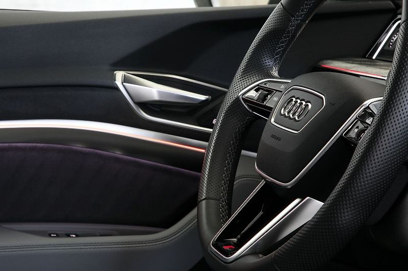 Audi e-tron 55 300kW Matrix Kessy Tažné - fotka 22 z 46
