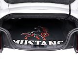 Ford Mustang 5,0 Ti-VCT 310kW V8 GT Aut. - náhled 10