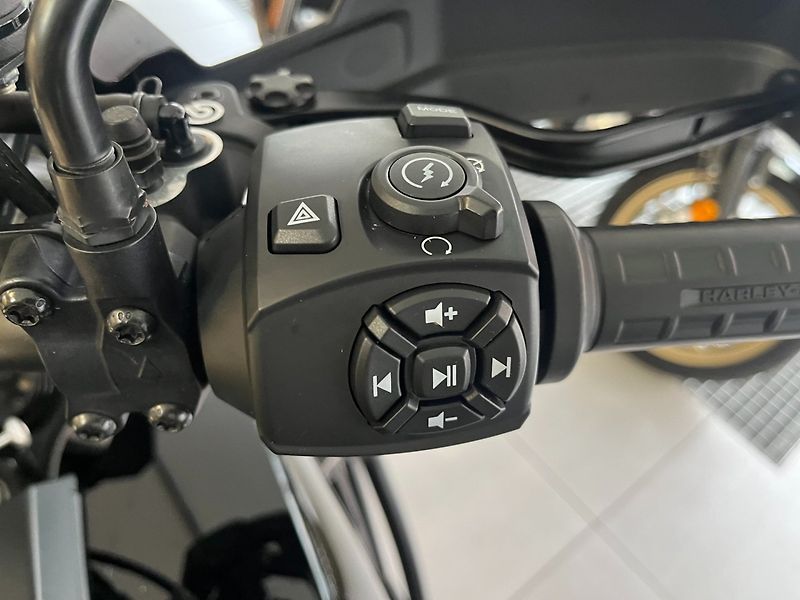 Harley-Davidson Pan America 1250 (2022) Special ARH - fotka 16 z 17
