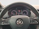 Škoda Octavia (2018) RS 2.0 TDI, Serv.kniha, Kůže - náhled 16